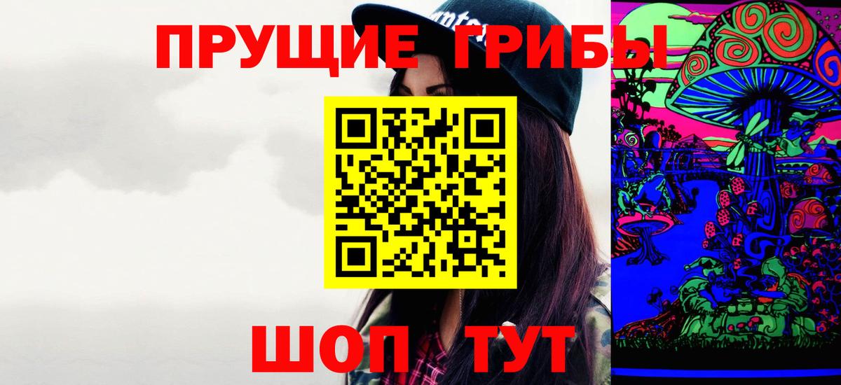 Псилоцибиновые грибы мицелий Минеральные Воды