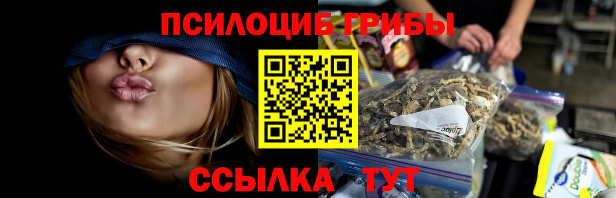Псилоцибиновые грибы прущие грибы  Вход с VPN  Минеральные Воды 